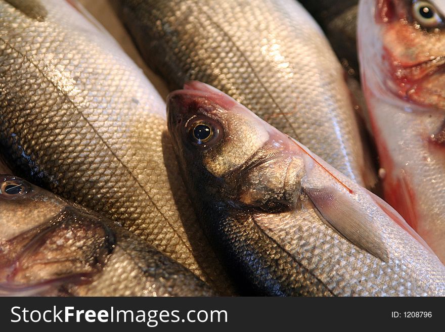 Foodfish