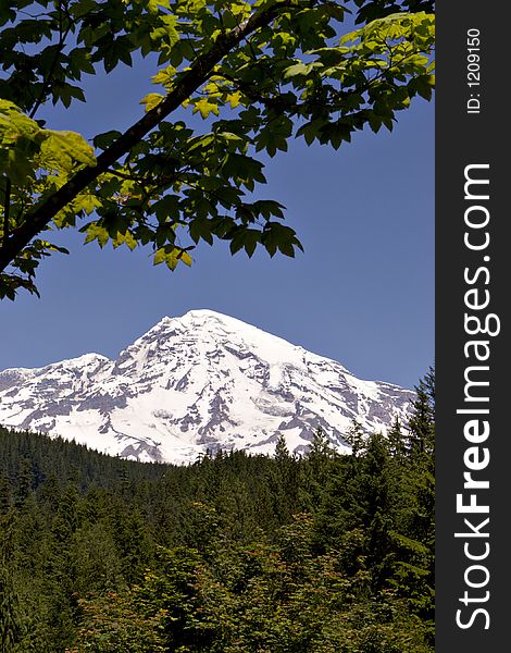 Mount Rainier, Mount Rainier National Park, Washington. Mount Rainier, Mount Rainier National Park, Washington