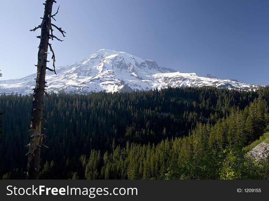 Mount Rainier, Mount Rainier National Park, Washington. Mount Rainier, Mount Rainier National Park, Washington