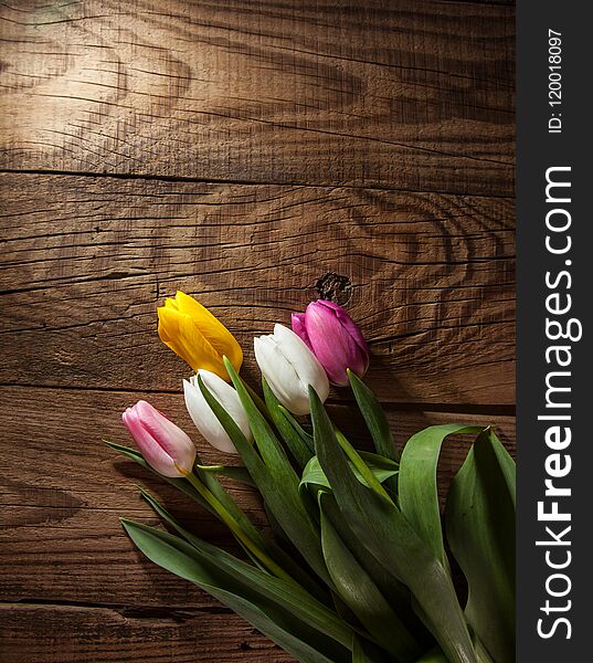 bouquet of purple, yellow and white tulips on a wooden background. bouquet of purple, yellow and white tulips on a wooden background