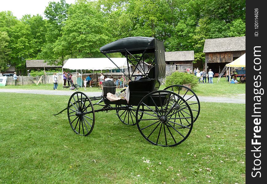 Carriage, Horse And Buggy, Vehicle, Motor Vehicle
