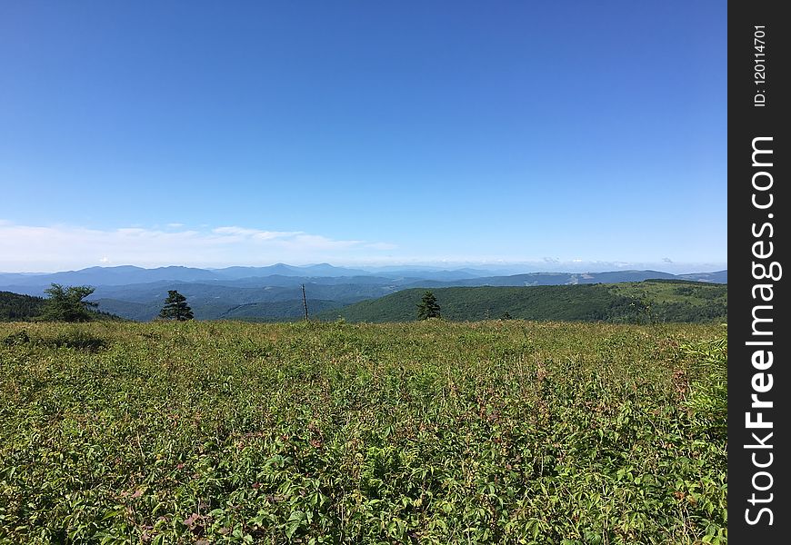 Grassland, Vegetation, Sky, Ecosystem