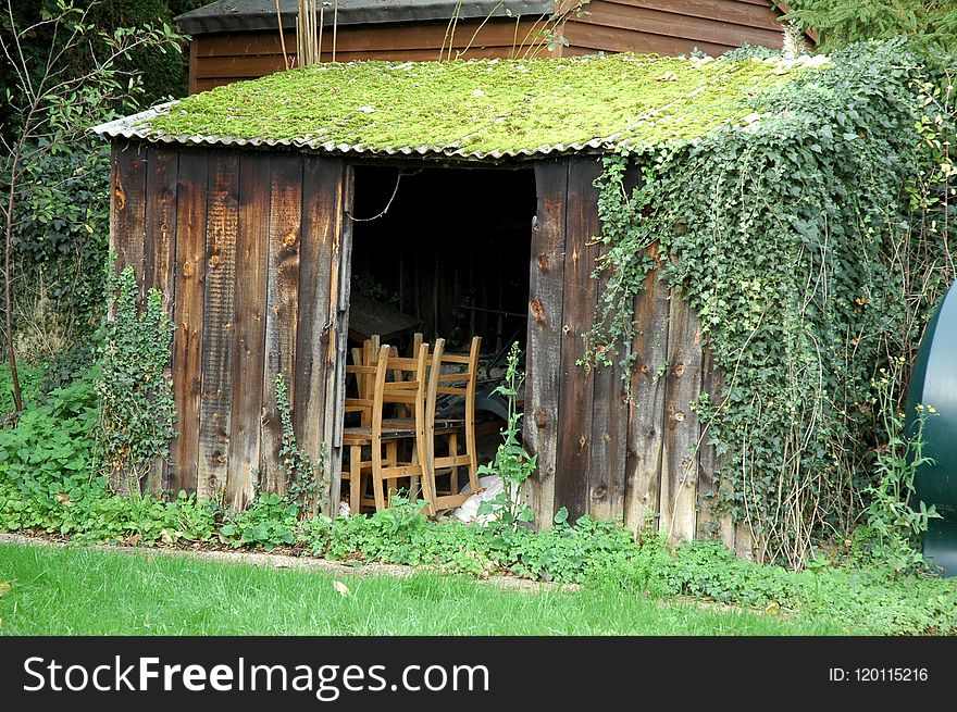 Shed, House, Outdoor Structure, Grass