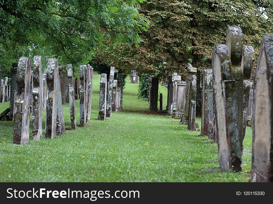 Tree, Grass, Cemetery, Outdoor Structure