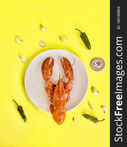 Lobster on Round White Ceramic Plate