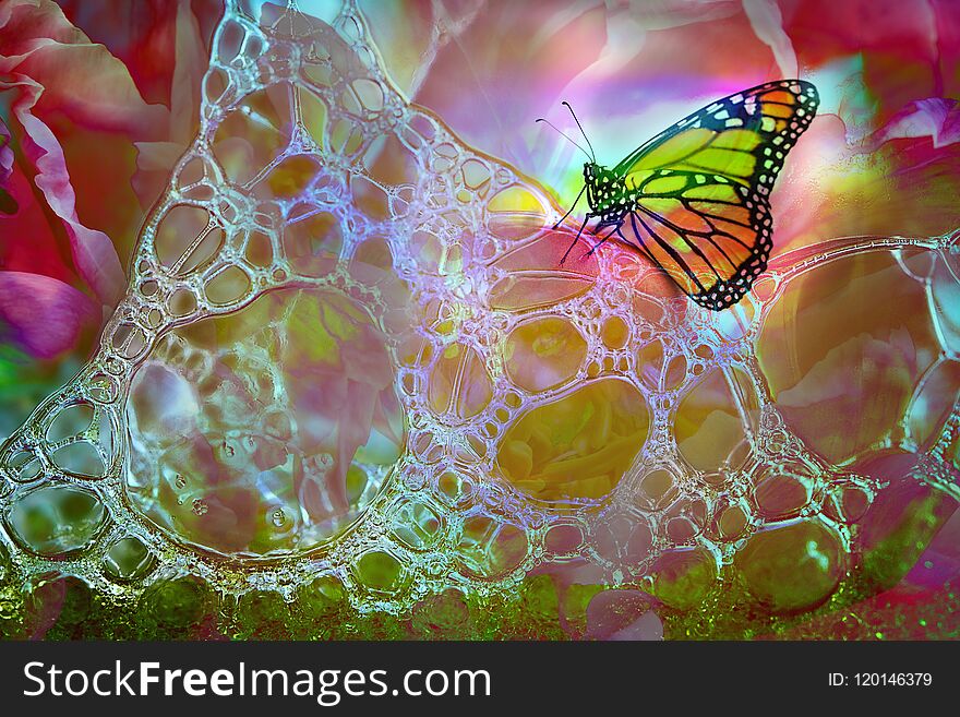 A colorful wallpaper design incorporating soap bubbles, a flower and a butterfly - bright and happy. A colorful wallpaper design incorporating soap bubbles, a flower and a butterfly - bright and happy