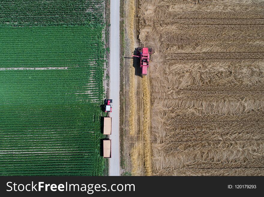 Combine Harvester And Tractor Working In Wheat Field