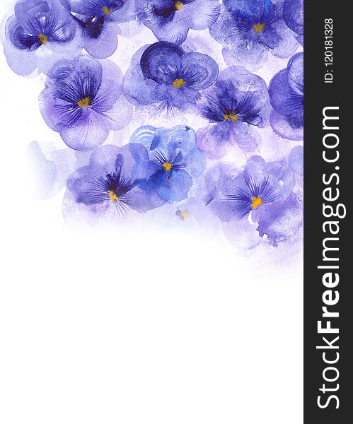 Pansy Illustration For Elegant Design