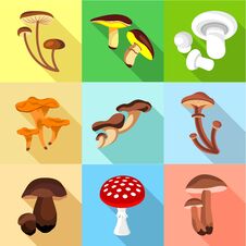 Edible And Inedible Mushroom Icons Set, Flat Style Stock Photo