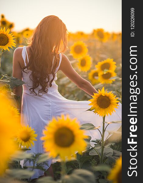 Beautiful woman with long hair in a field of sunflowers in the s