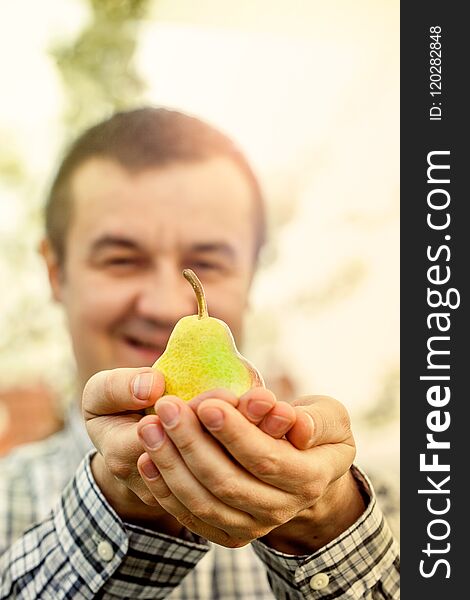 Fresh pears in hands