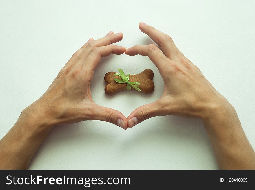 Dog biscuits bone shaped wrapped as gift in heart shape hands.