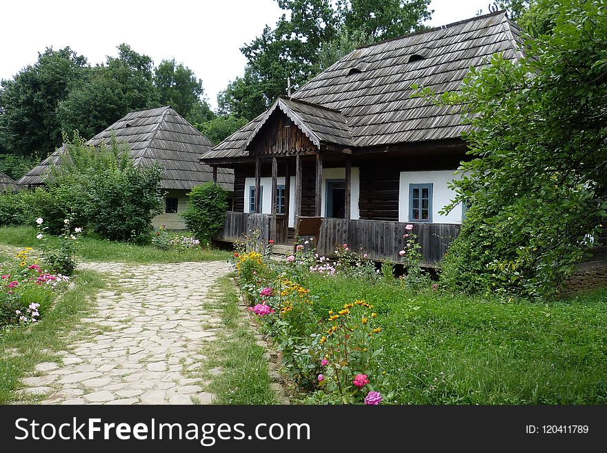 Cottage, Flower, House, Property