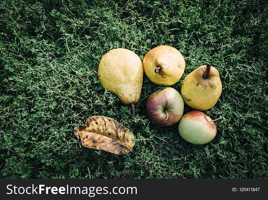 Fruit, Produce, Local Food, Apple