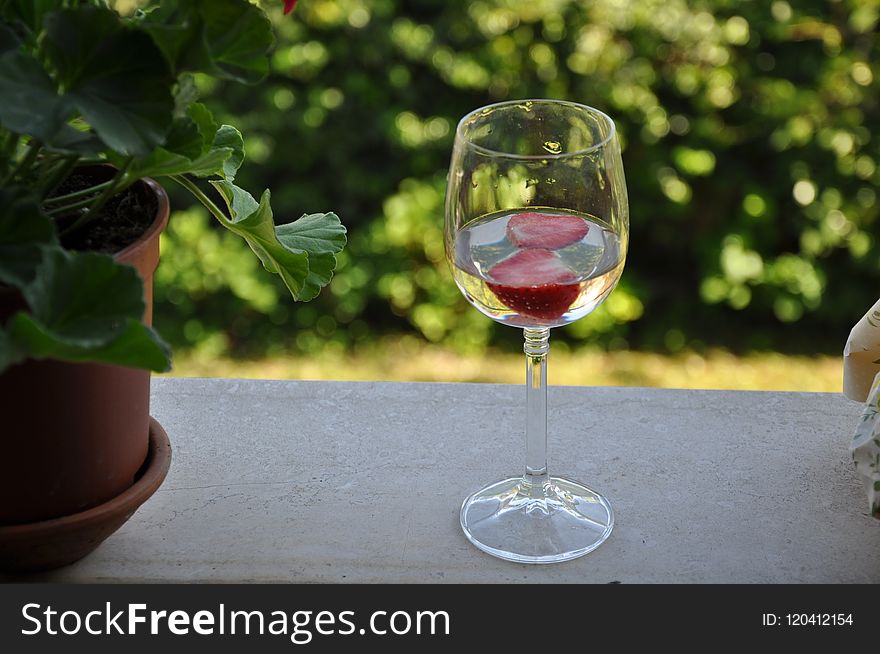 Wine Glass, Stemware, Glass, Tableware