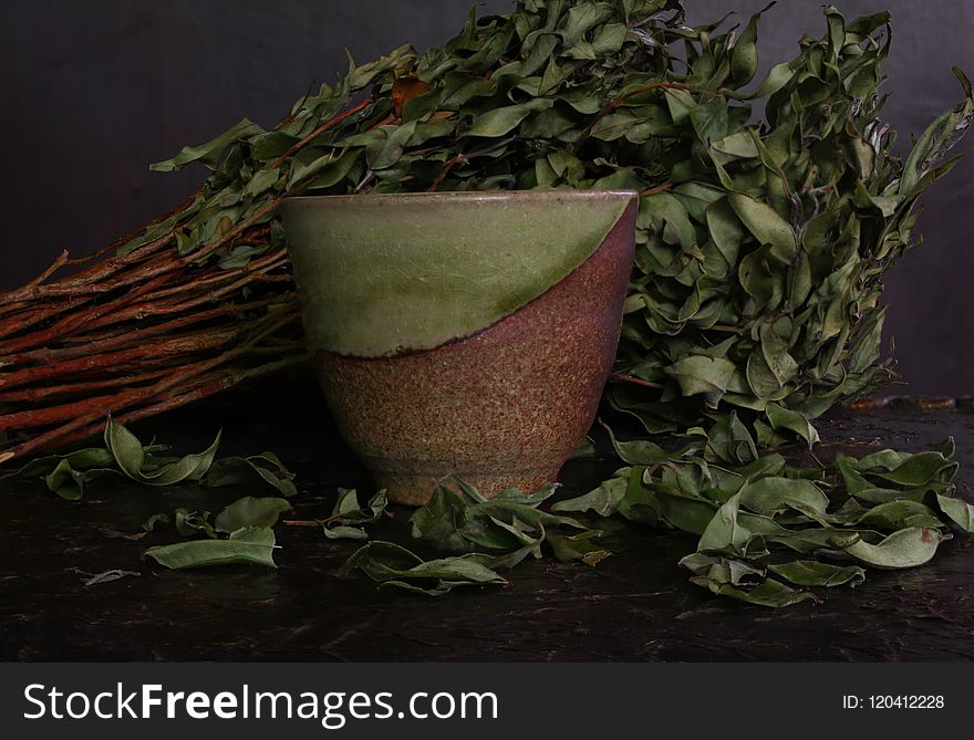 Still Life, Flowerpot, Still Life Photography, Herb