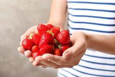 Woman Holding Ripe Strawberries On Grey Background Stock Image
