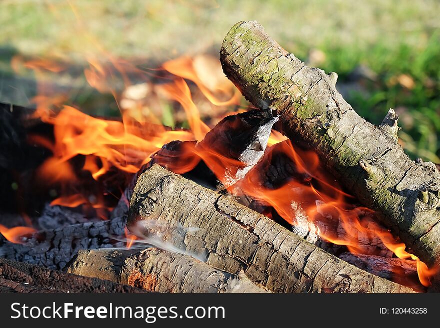 Burning Firewood Outdoors On Sunny Day,
