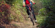 Woman Legs Riding Mountain Bike On Outdoor Trail In Forest Royalty Free Stock Images Woman Legs Riding Mountain Bike On Outdoor Trail In Forest Royalty Free Stock Images