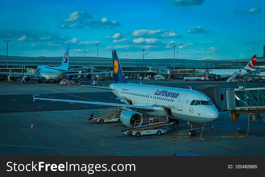 Sky, Airline, Airplane, Airliner