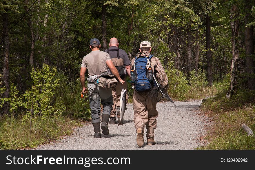 Land Vehicle, Path, Wilderness, Vehicle