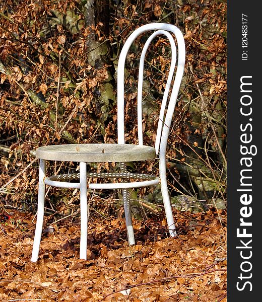 Chair, Furniture, Wood, Tree