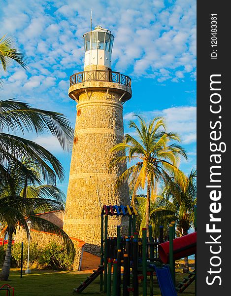 Tower, Landmark, Palm Tree, Sky