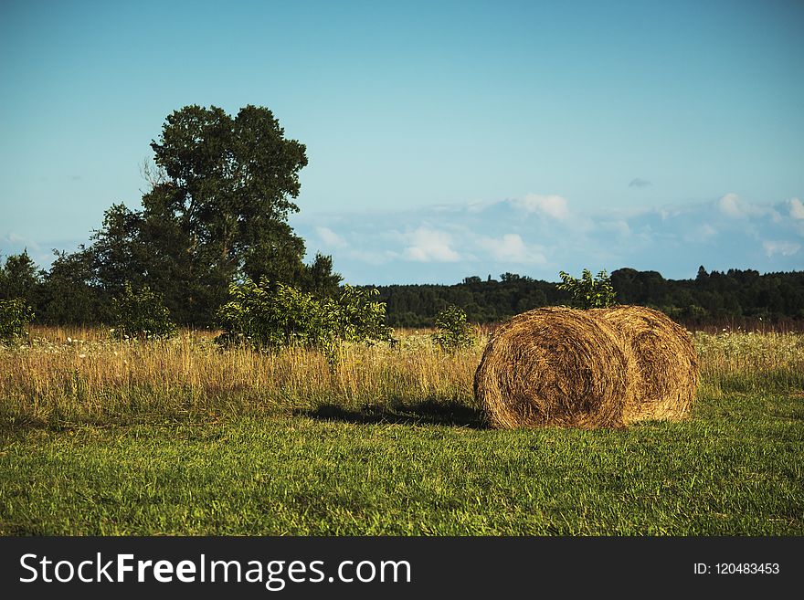 Sky, Field, Grassland, Hay