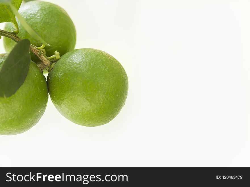 Fruit, Lime, Key Lime, Produce