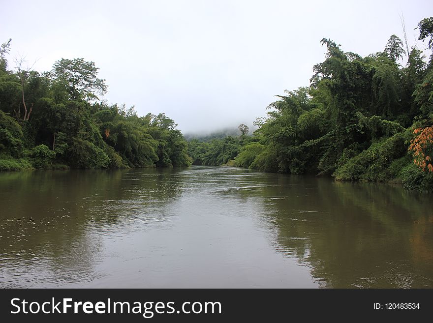 River, Waterway, Nature, Vegetation