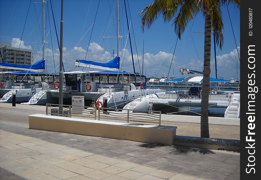 Marina, Boat, Dock, Sailboat