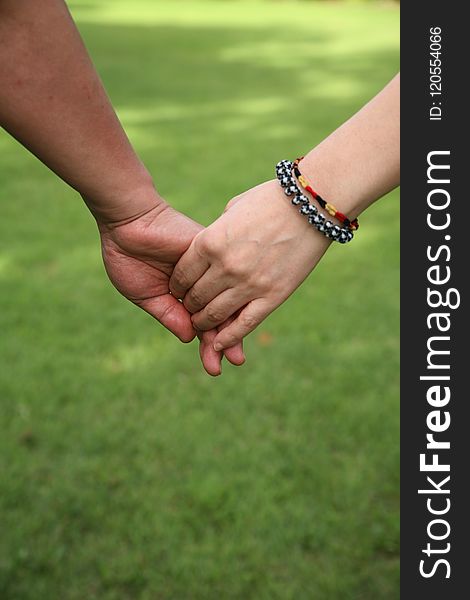 Photograph, Hand, Grass, Holding Hands