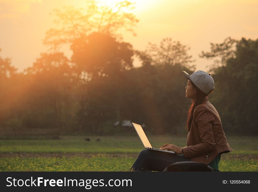 Sky, Field, Grassland, Grass