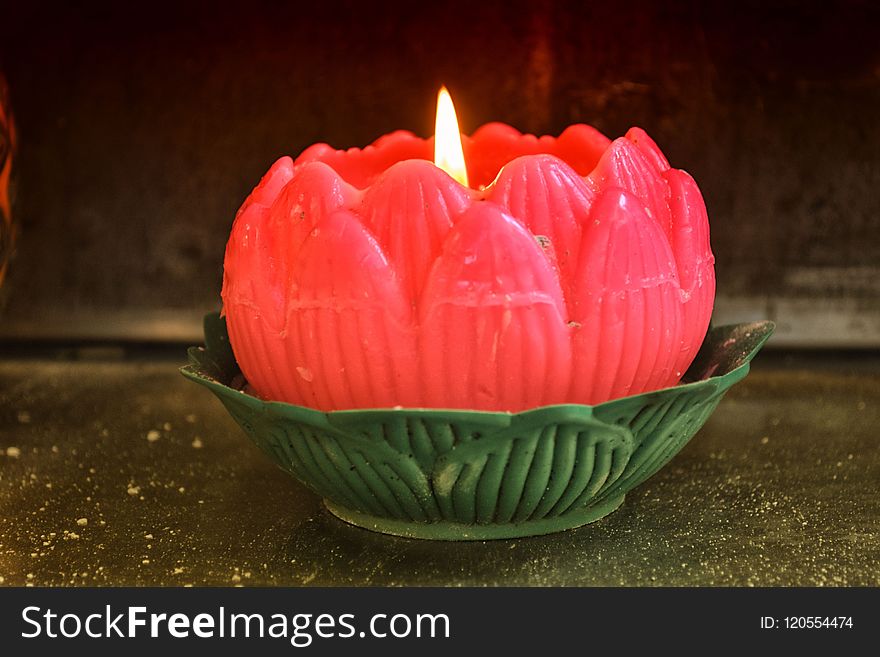 Flower, Petal, Lighting, Candle