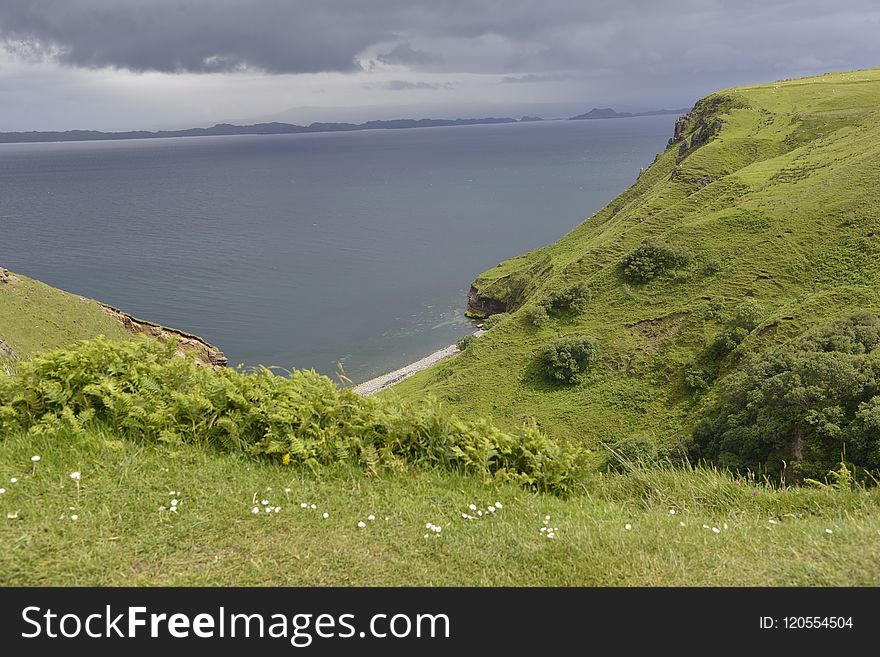 Highland, Coast, Headland, Vegetation