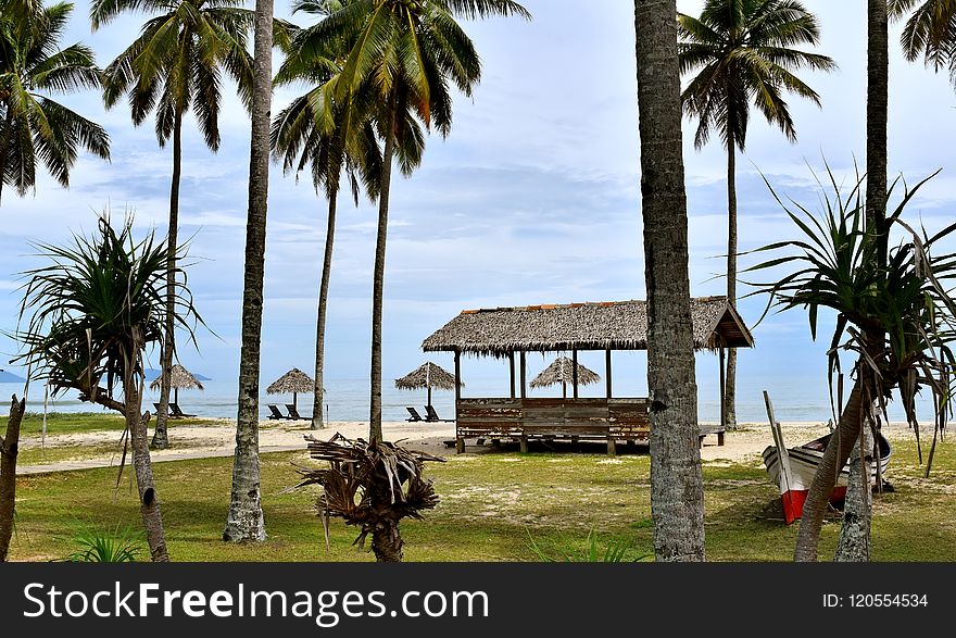 Property, Resort, Palm Tree, Arecales