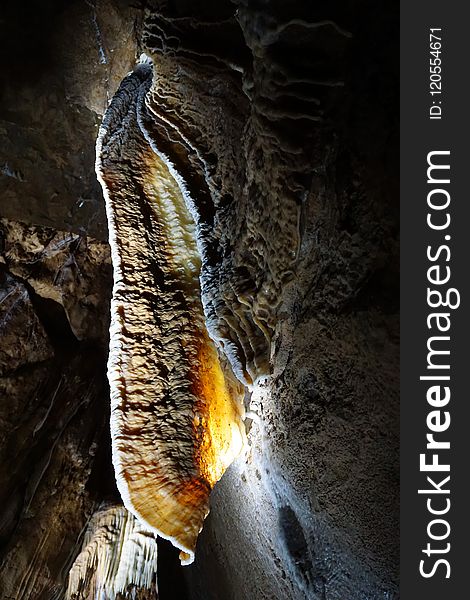Formation, Cave, Organism, Stalactite