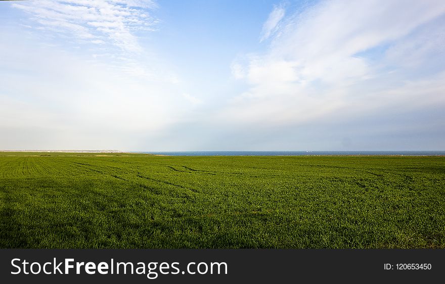 Grassland, Sky, Field, Ecosystem