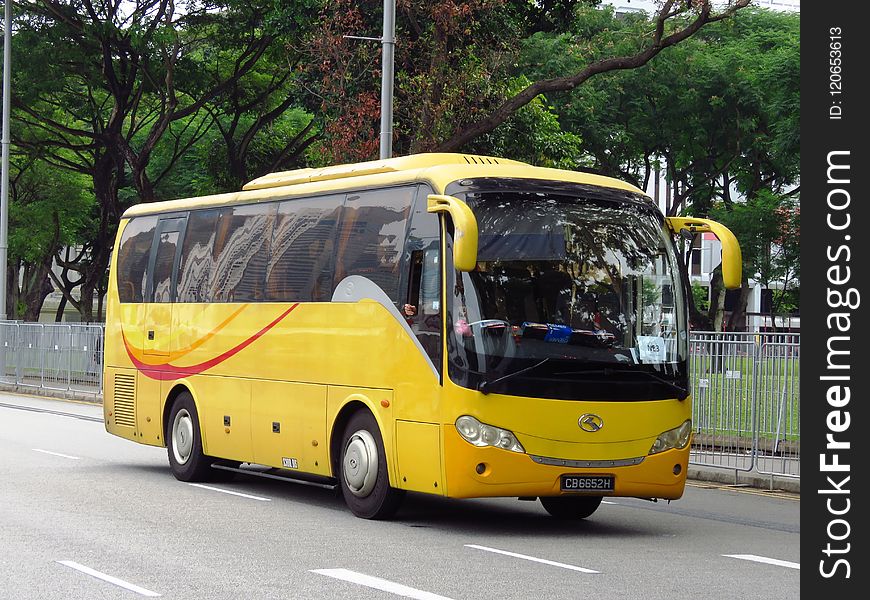 Bus, Motor Vehicle, Transport, Tour Bus Service