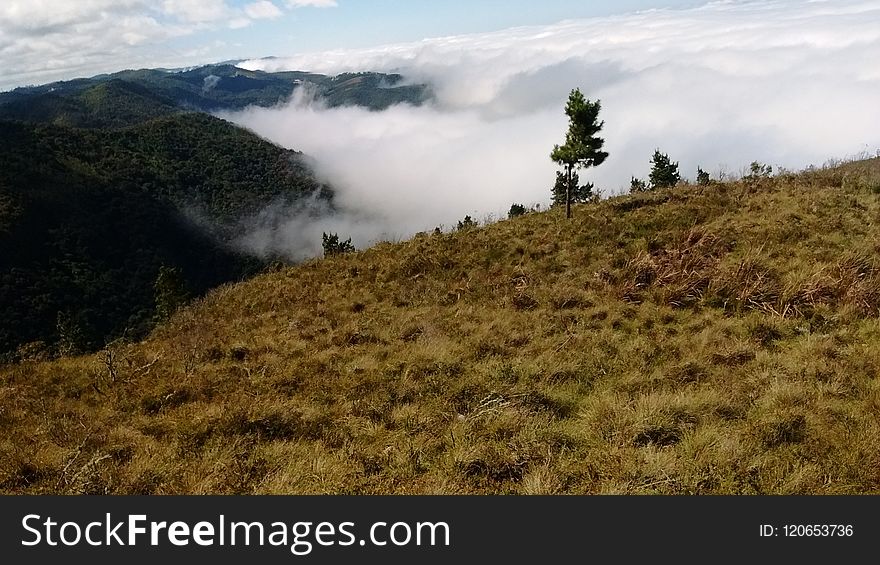Highland, Wilderness, Ridge, Vegetation