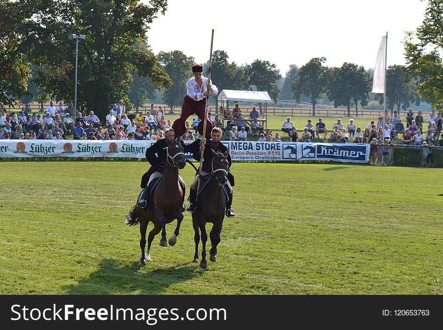 Horse, Equestrianism, Jockey, Horse Like Mammal