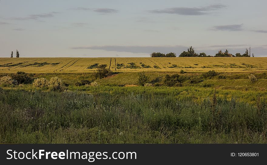 Grassland, Ecosystem, Prairie, Plain