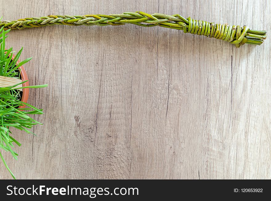 Leaf, Wood, Grass, Twig