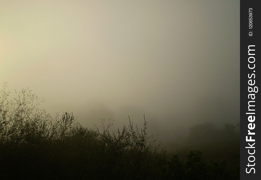 Fog, Mist, Sky, Atmosphere