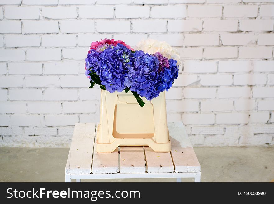 Flower, Plant, Flowerpot, Flower Bouquet