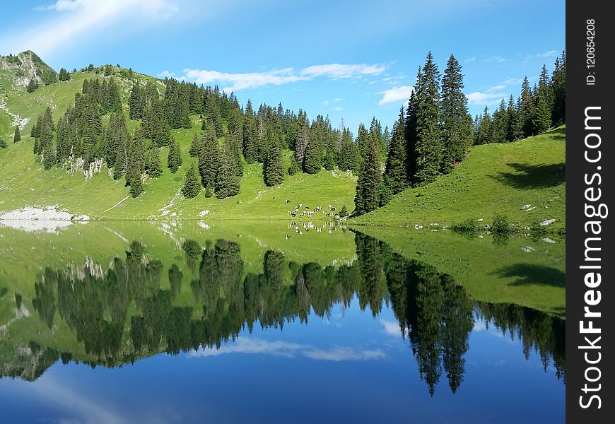 Reflection, Nature, Wilderness, Mount Scenery