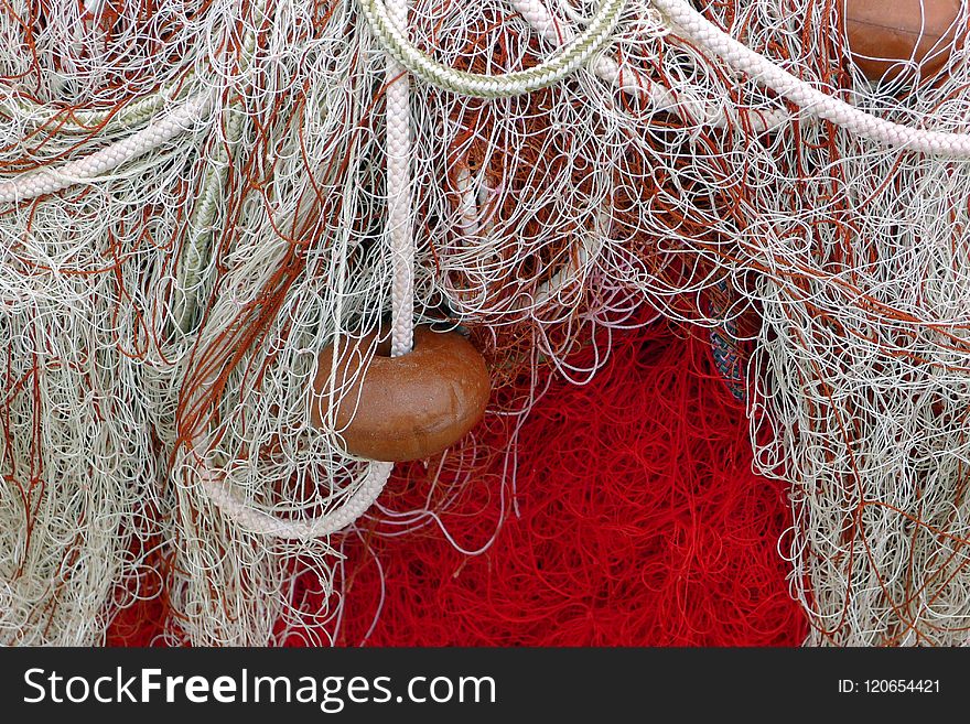 Fishing Net, Thread, Branch