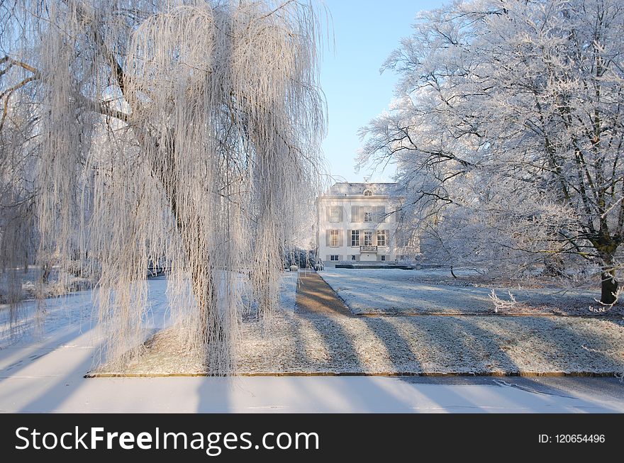 Winter, Frost, Freezing, Snow