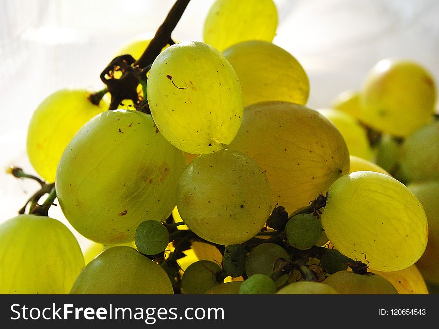 Fruit, Grape, Grapevine Family, Produce