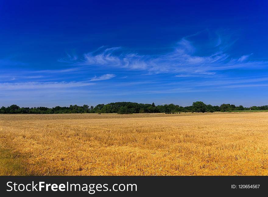 Sky, Grassland, Field, Prairie